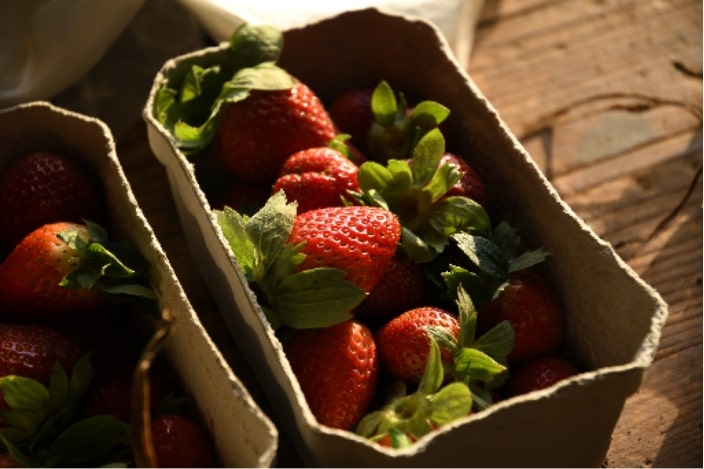 משק אורגני ירקות ופירות אורגניים תותים אורגניים משק לב אדם
